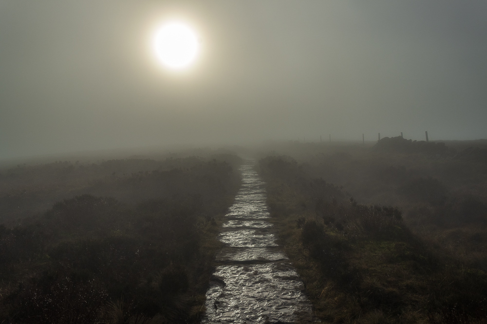 The Tors